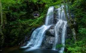 【夏の飛騨高山観光】地元スタッフ<br>おすすめの岐阜県高山周辺ドライブ