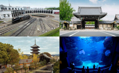 【京都・梅小路公園周辺】1日モデルコース&町家宿泊で旅を満喫!