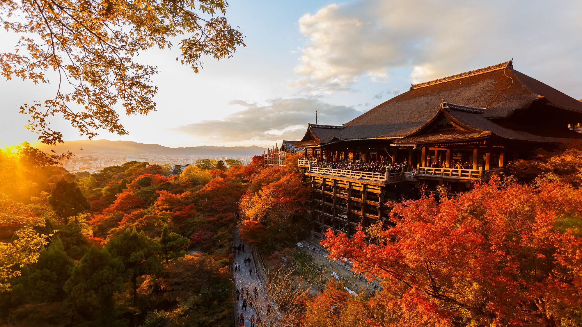 Fall Foliage in Kyoto, Japan