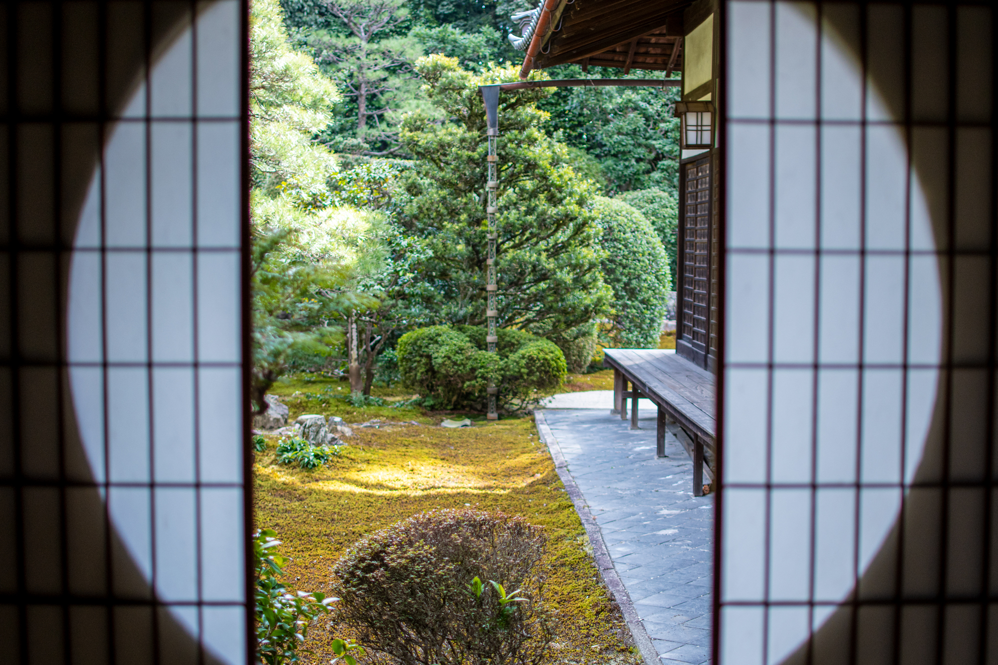 As the temple met with 2 large fires in the past, famed landscape artist, Mirei Shigemori, rebuilt the garden that we see today in 1939.