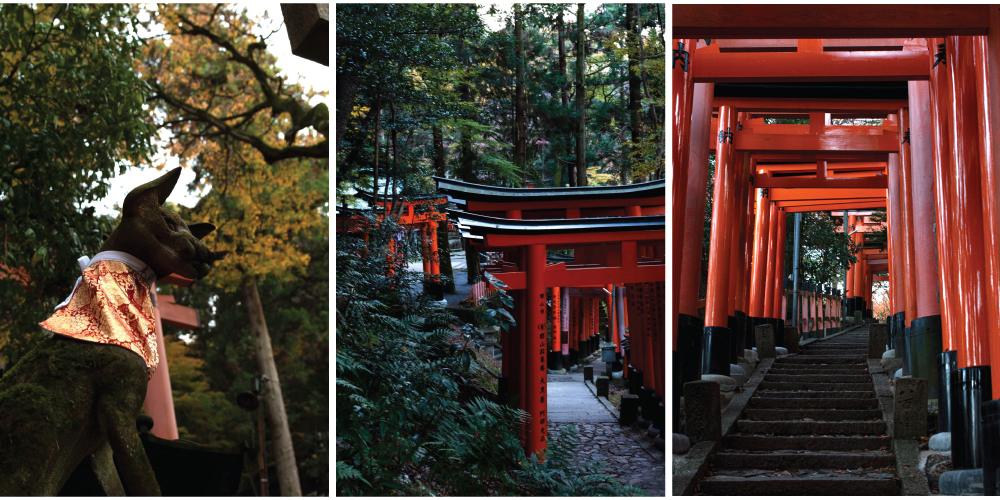 Fushimi Inari Shrine in Kyoto, Japan. Fushimi Inari is also known as the fox shrine, so you will see many fox statues throughout the shrine grounds. 