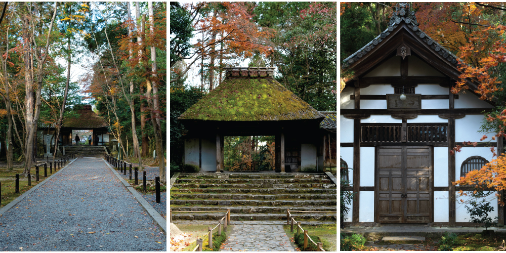 Honen-in Temple is famous for camellias, and is also the resting place of many Japanese literary figures. 