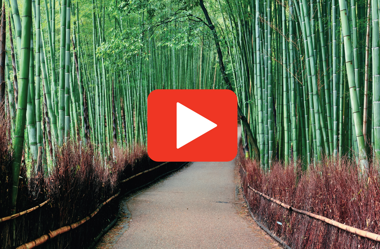 A relaxing walk through Kyoto’s Arashiyama Bamboo Forest (Japan)