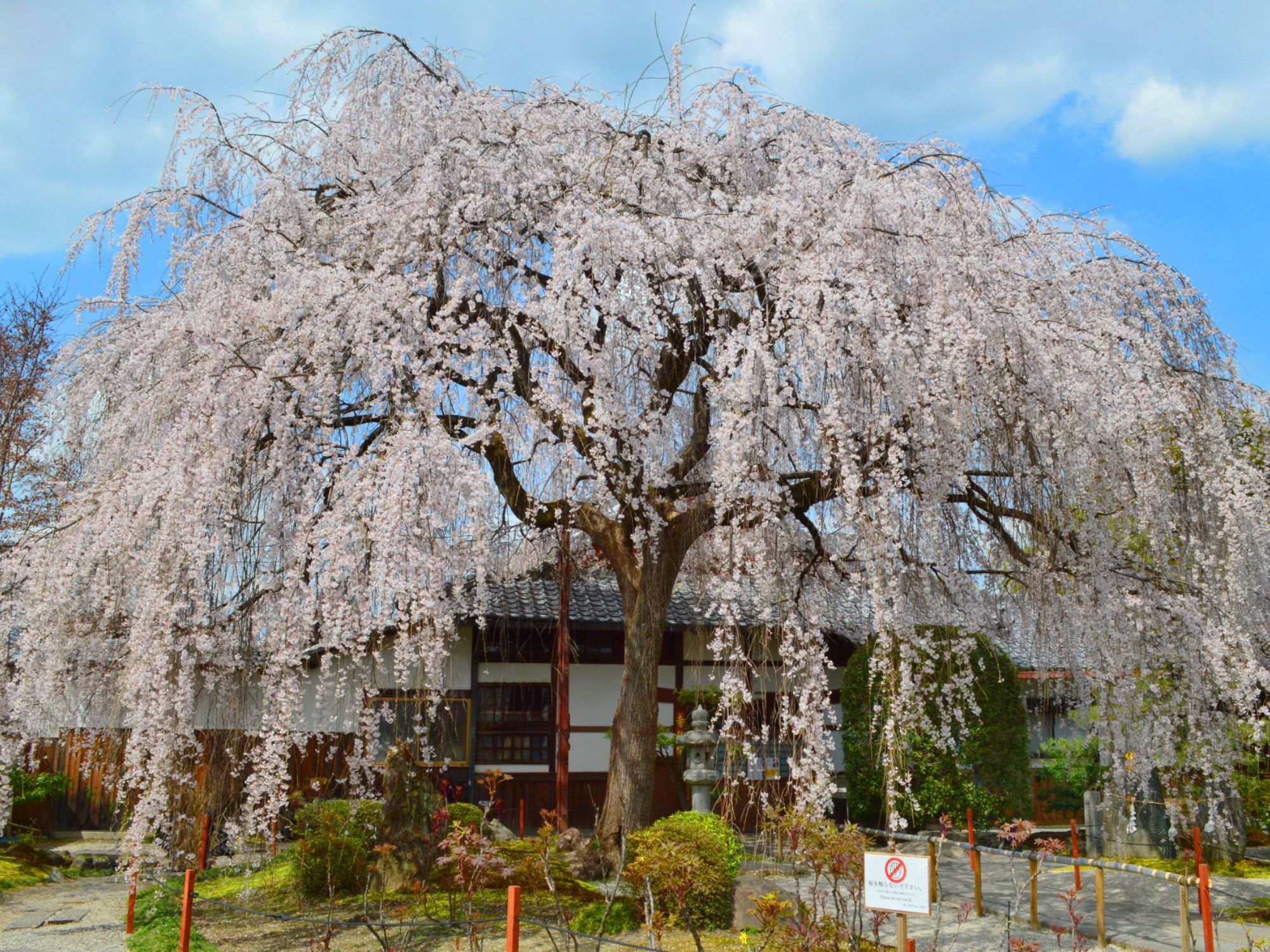 Honmanji Temple (Kyoto)