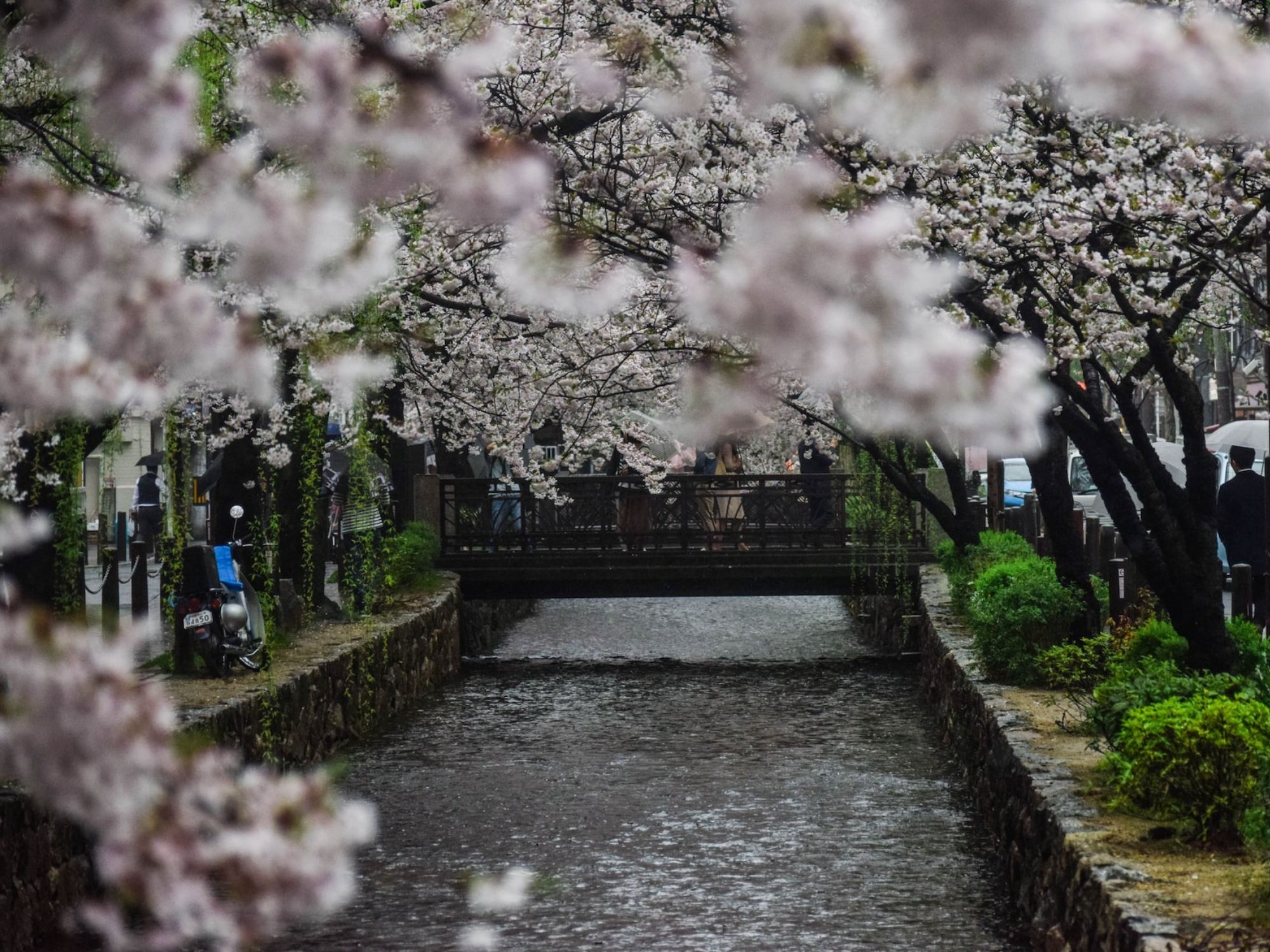 Philosopher's Path in Kyoto City, Japan