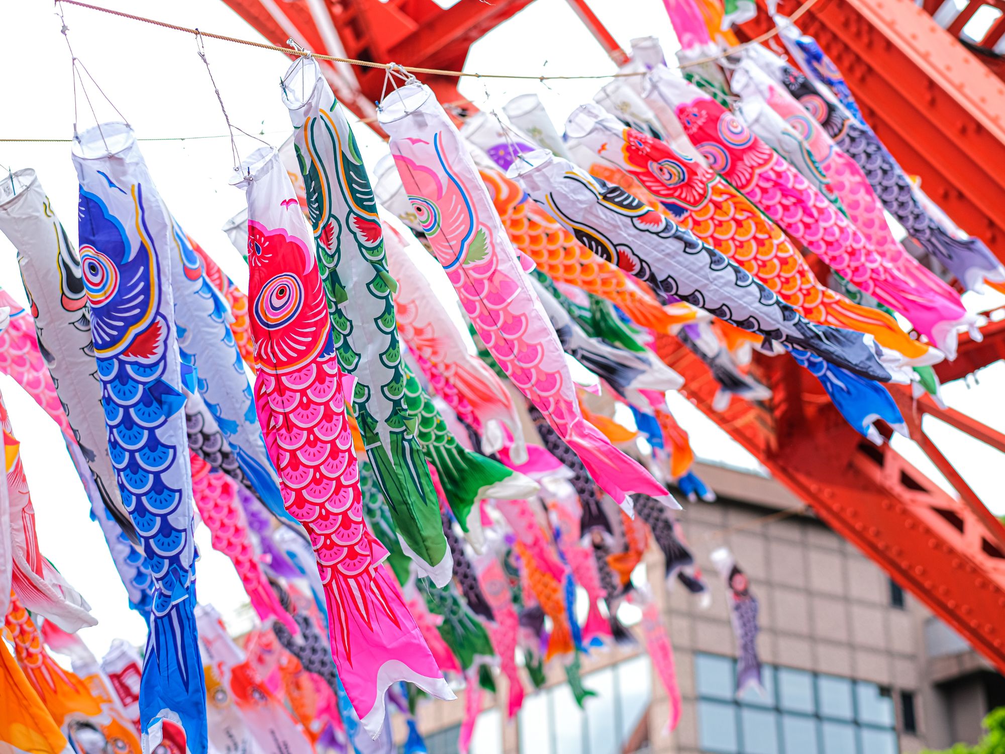 Koinobori for Children's Day in Japan