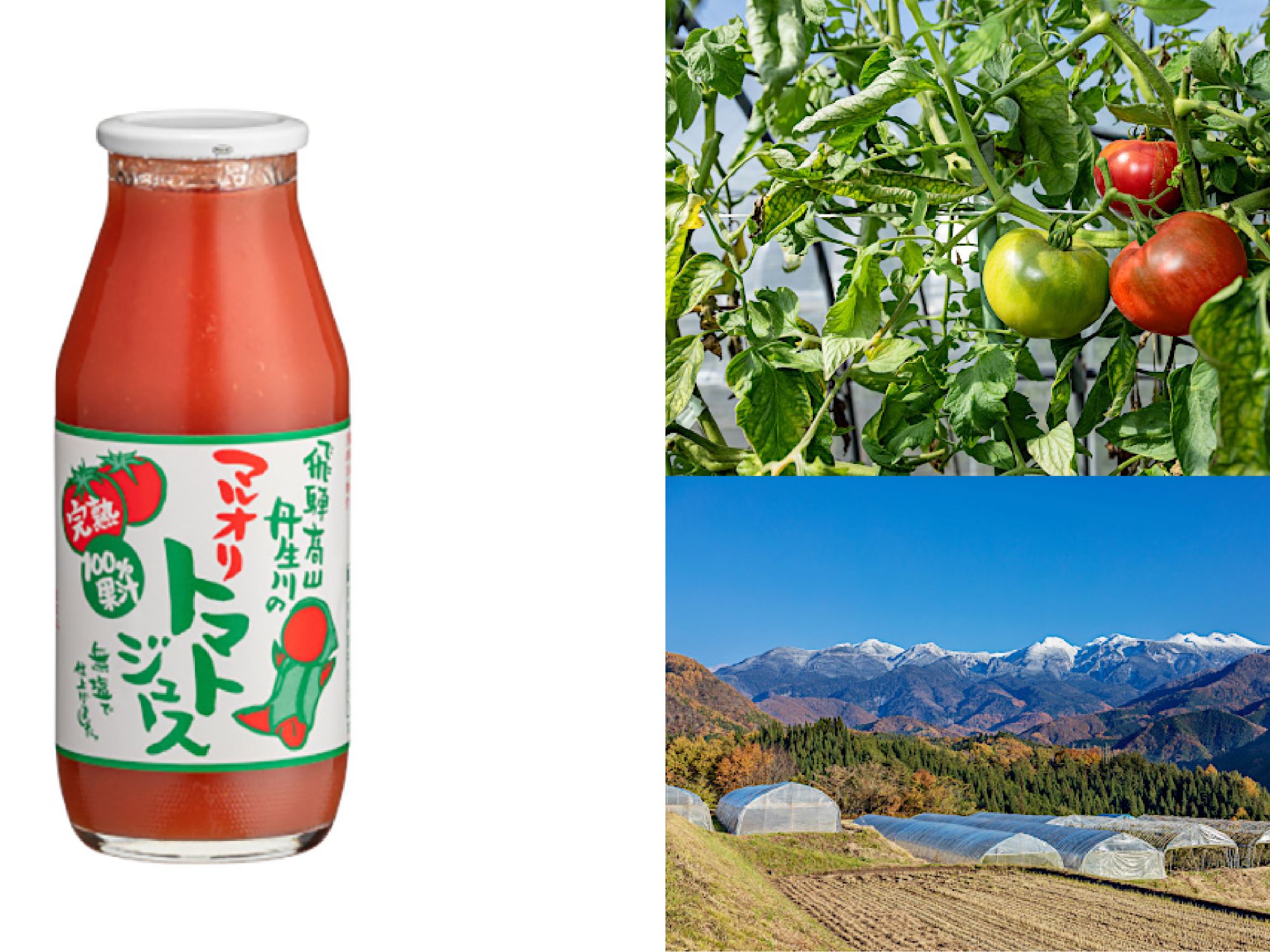 Takayama Tomato Juice