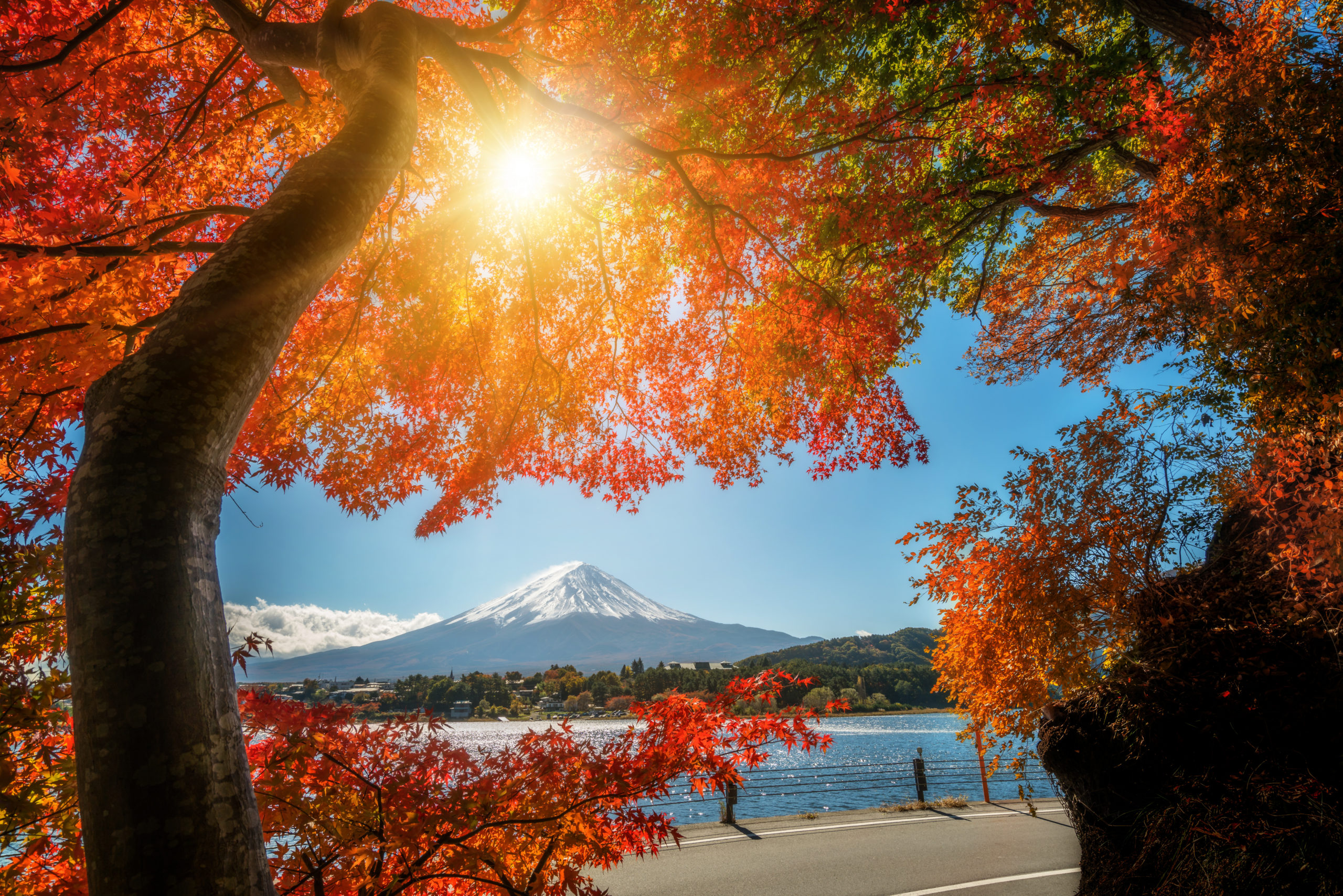 Autumn in Japan: Best Places to Visit During Fall in Japan