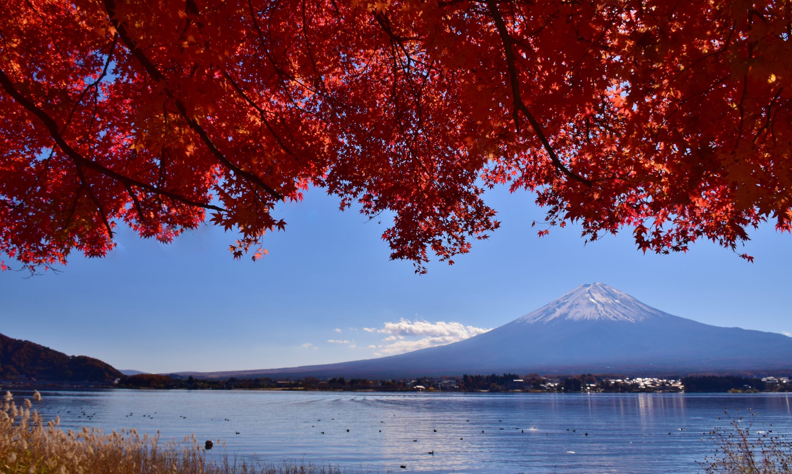 japan best places to visit in fall