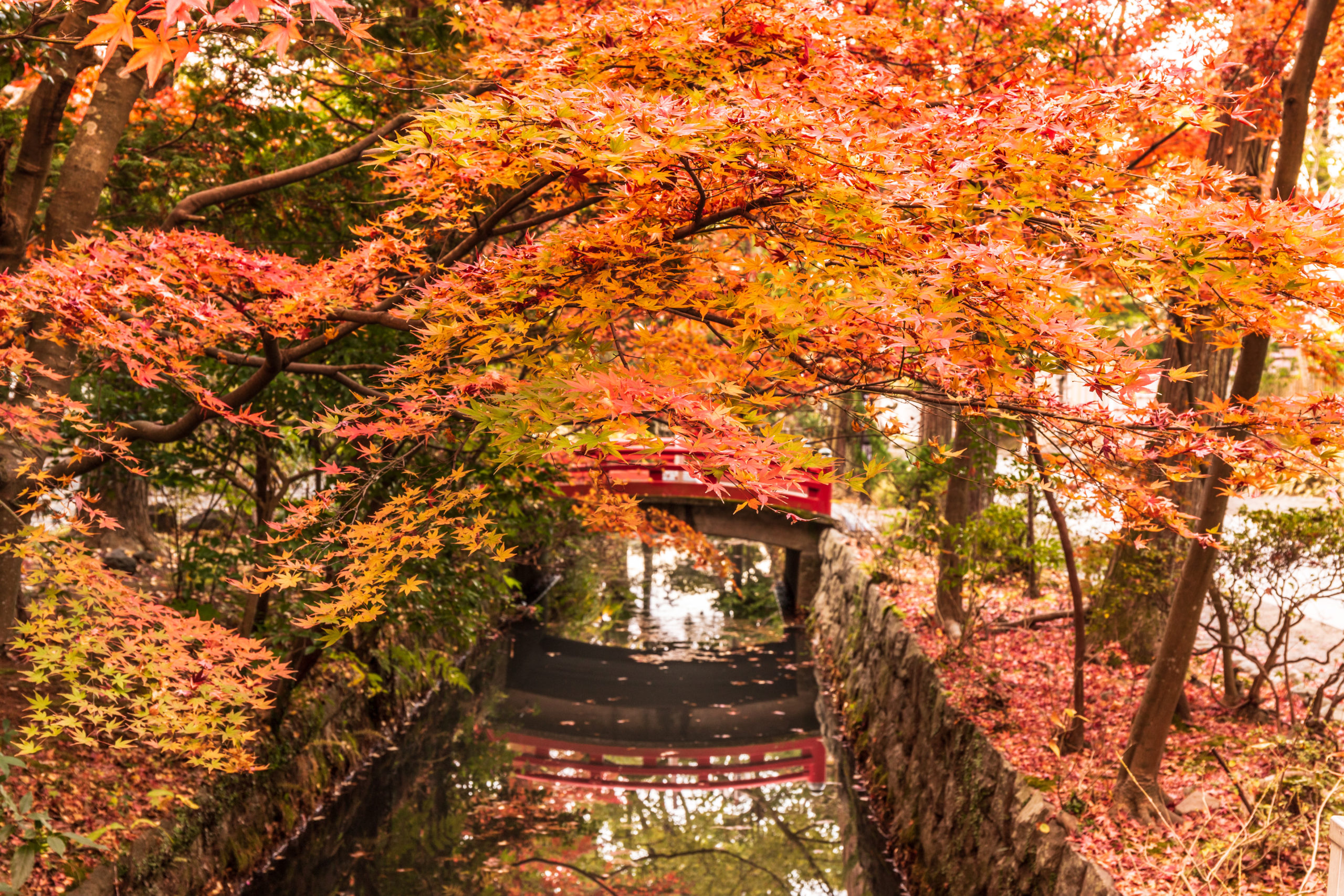 japan best places to visit in fall