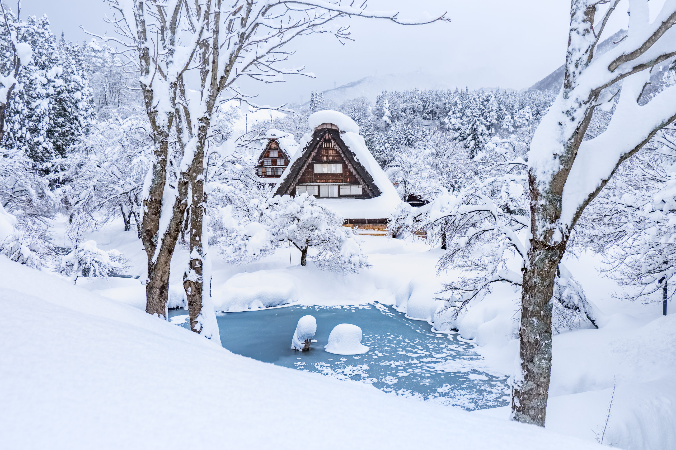 best japanese cities to visit in winter