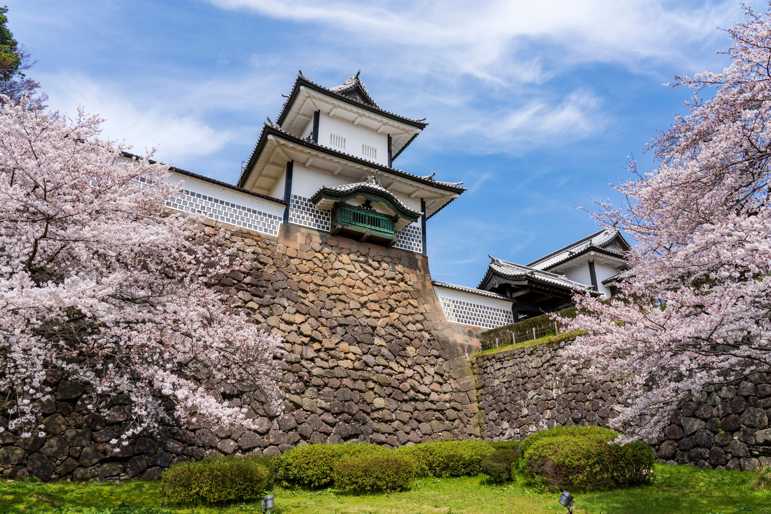 Kanazawa Castle surrounded by cherry blossoms in spring