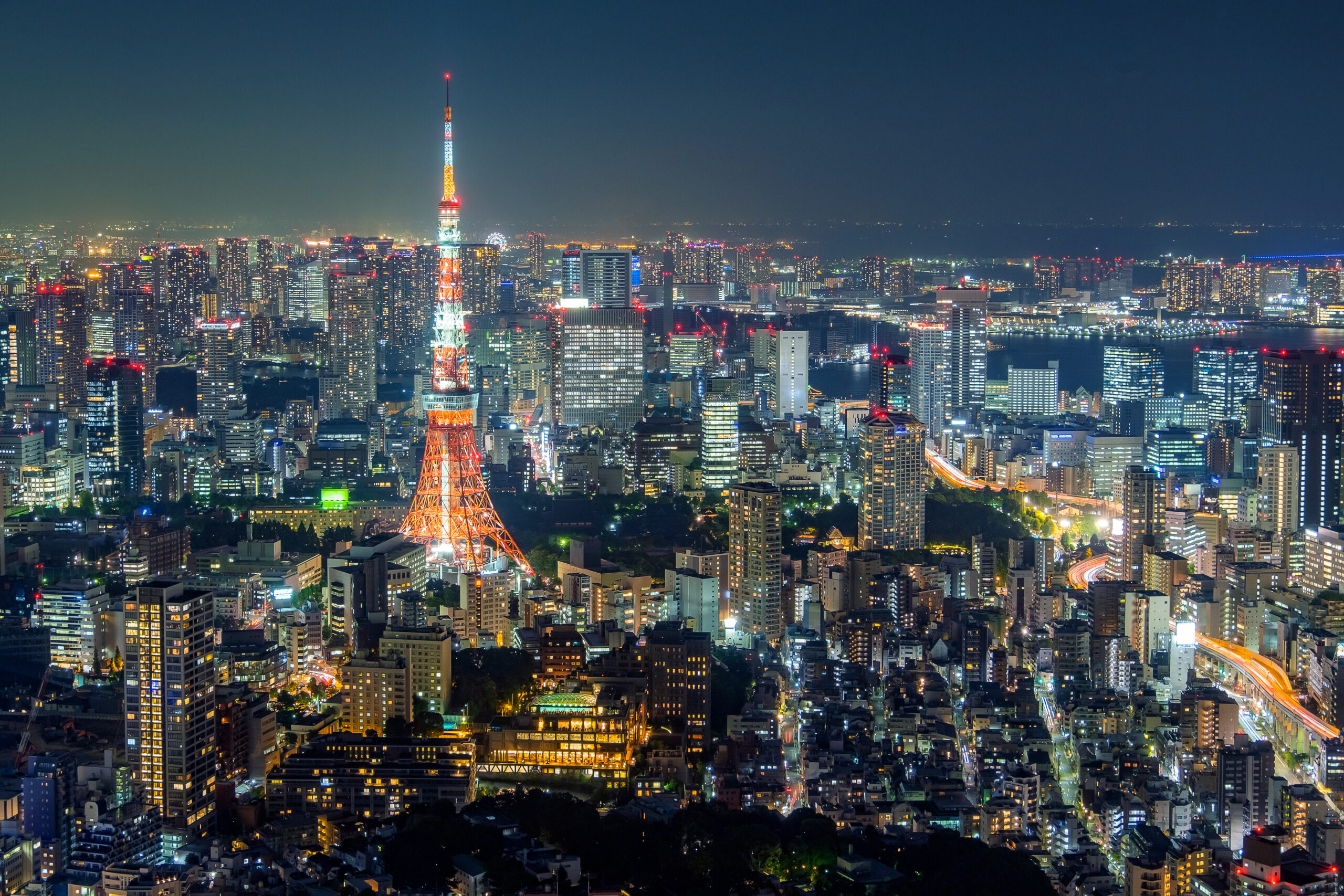 view of Tokyo