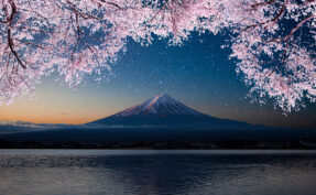 AdobeStock_394593920.hirotomo.i.1961