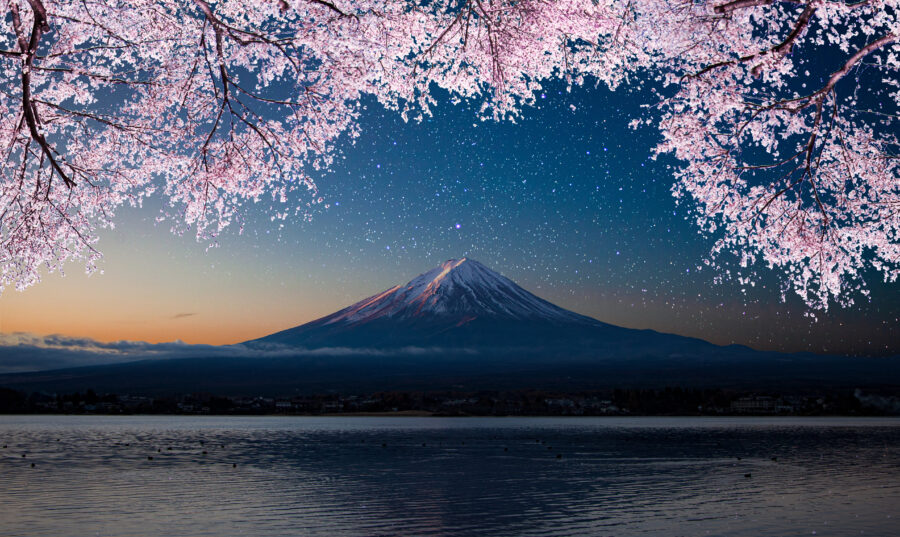 AdobeStock_394593920.hirotomo.i.1961