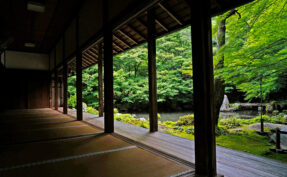 Rengeji Temple in Kyoto