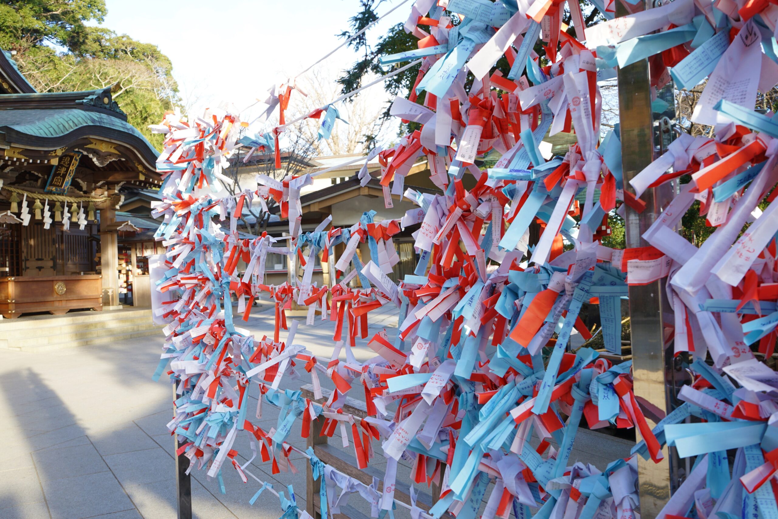 Rope for tiding up Omikuji paper at Enoshima Shrine (Hetsunomiya) in Kanagawa prefecture, Japan – 江島神社 おみくじ 神奈川県 日本 Omikuji fortune's tied up at a Japanese Shrine