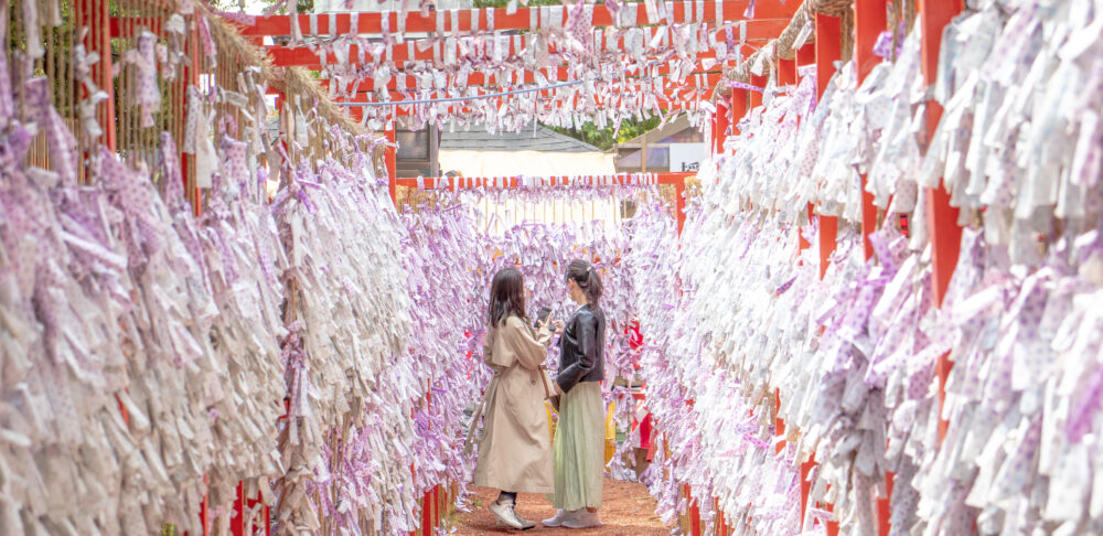 A Torii gate with tied up Omikuji Fortunes