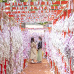 A Torii gate with tied up Omikuji Fortunes