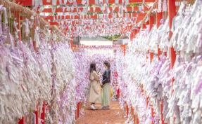 A Torii gate with tied up Omikuji Fortunes