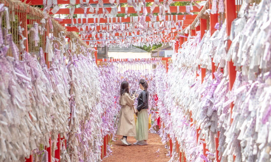 A Torii gate with tied up Omikuji Fortunes