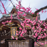 Kitano Tenmangu Shrine in Kyoto City