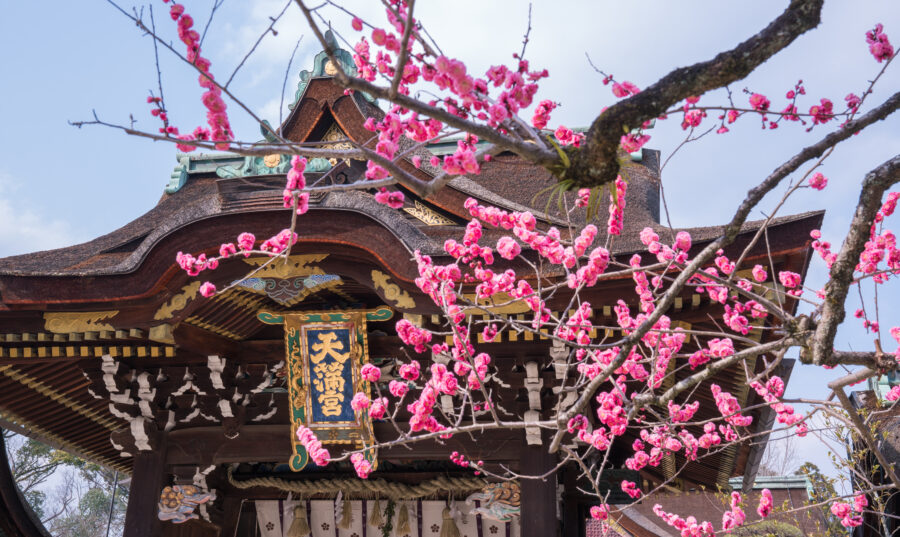 Kitano Tenmangu Shrine in Kyoto City