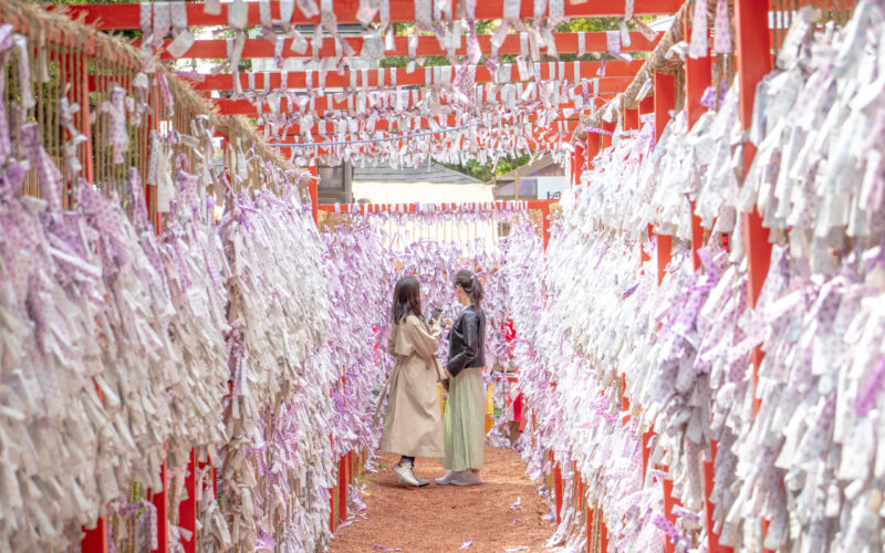 A Torii gate with tied up Omikuji Fortunes