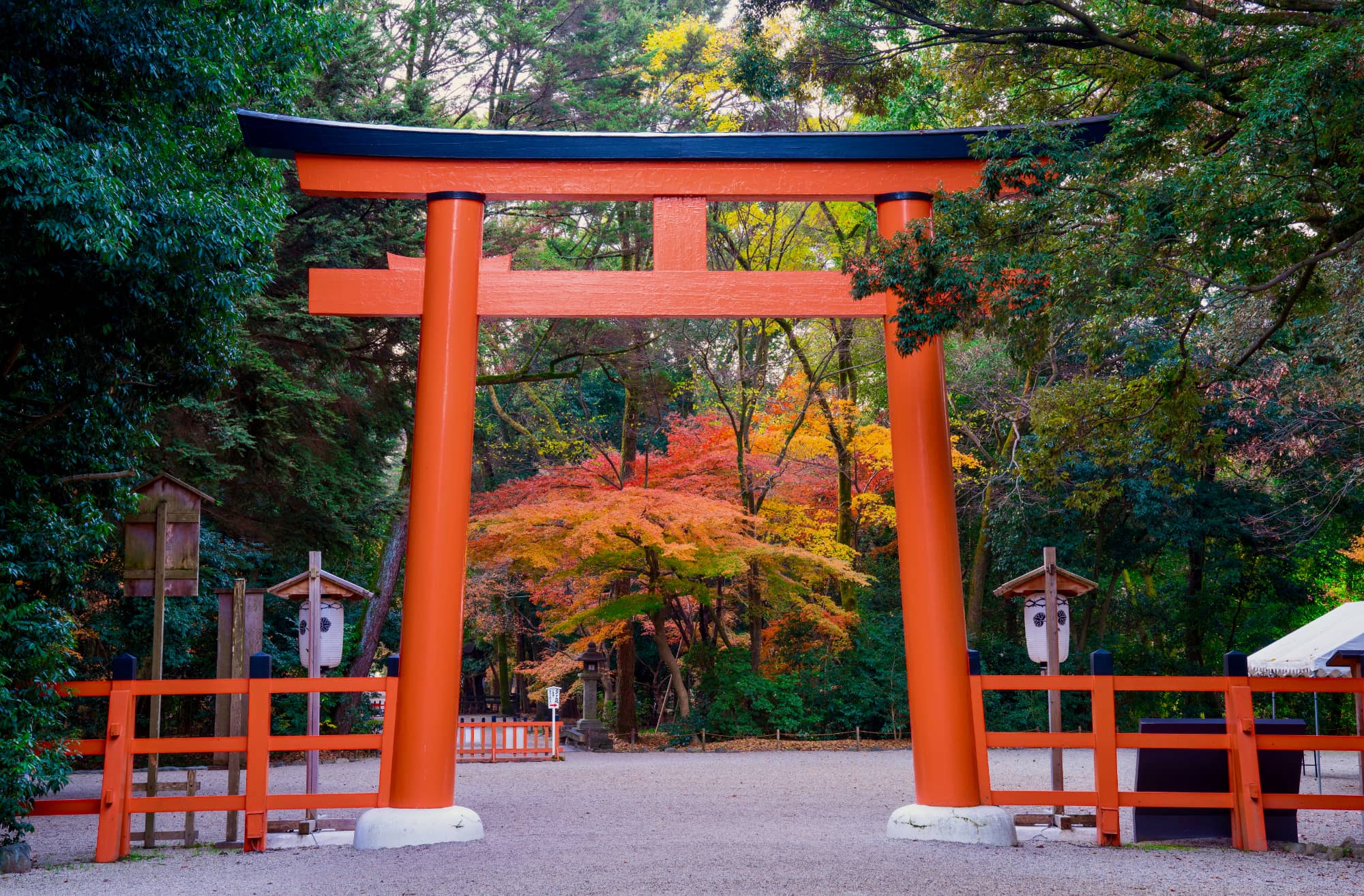 京都