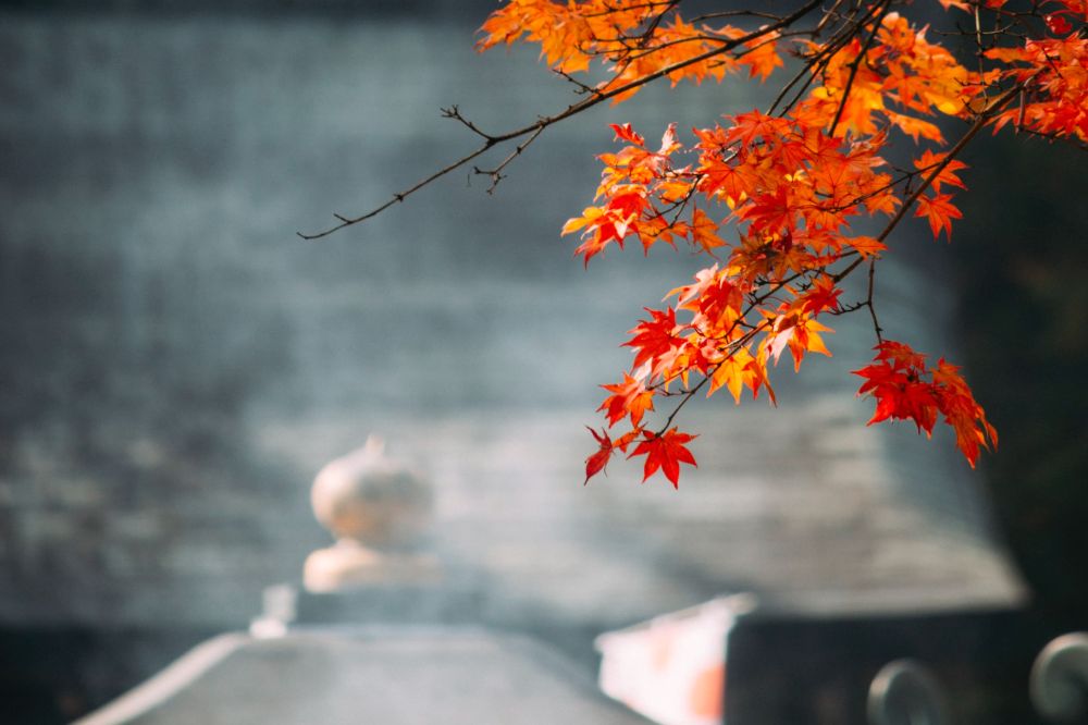 町家レジデンスイン京都