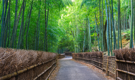 MACHIYA RESIDENCE INN