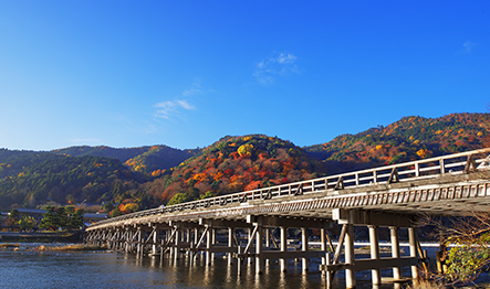 MACHIYA RESIDENCE INN