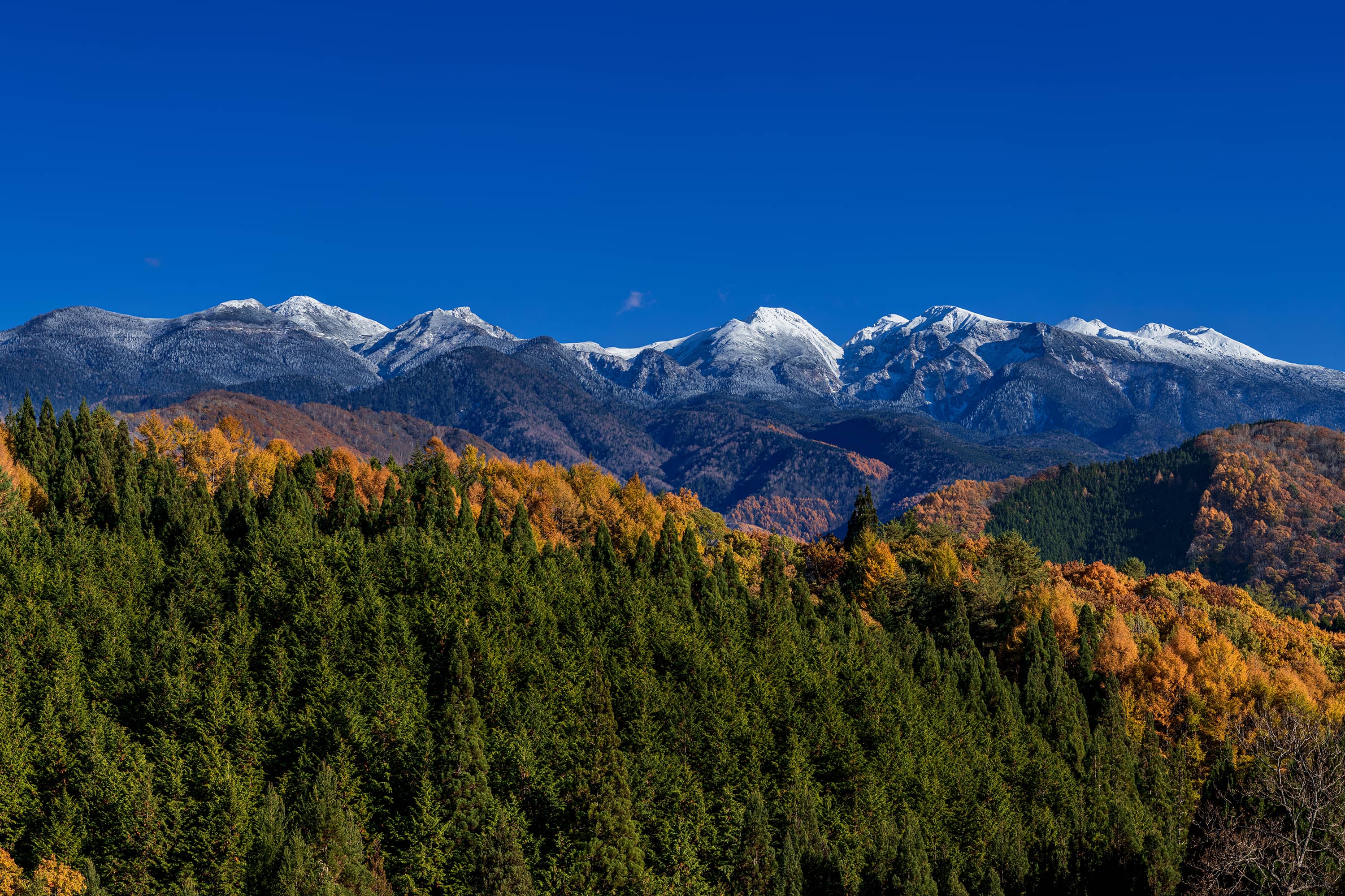 地域社会のサポート