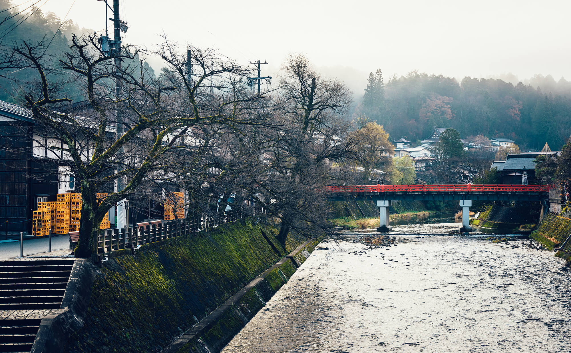 宮川の畔り