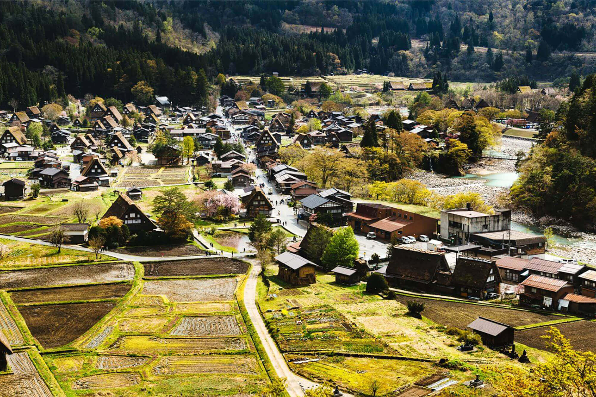 Giving back to Gifu's nature