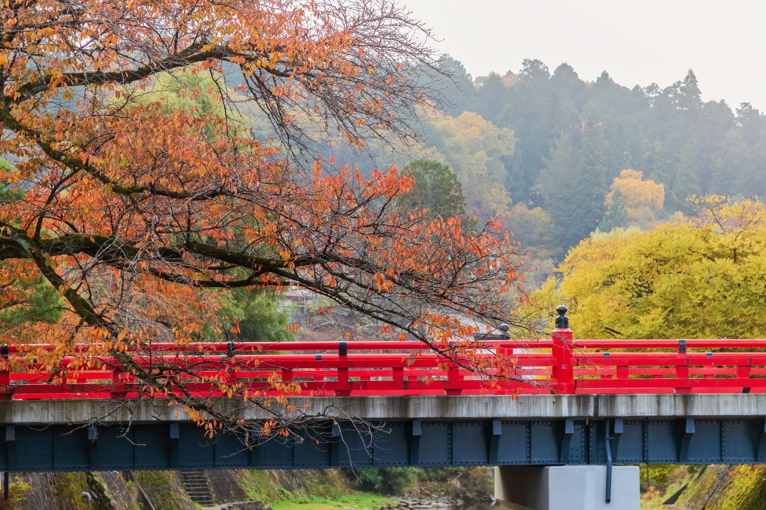 About MACHIYA RESIDENCE INN