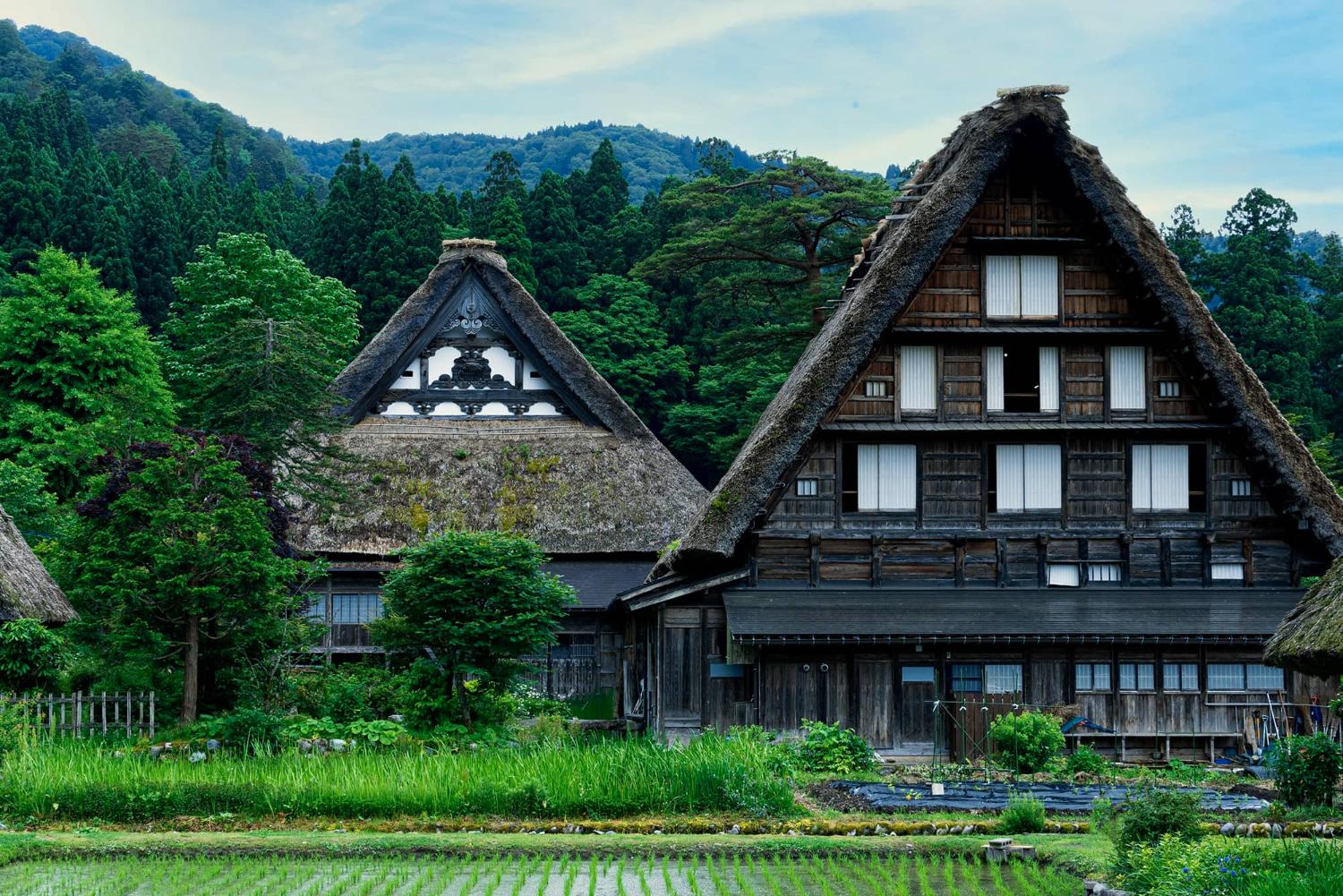 About MACHIYA RESIDENCE INN