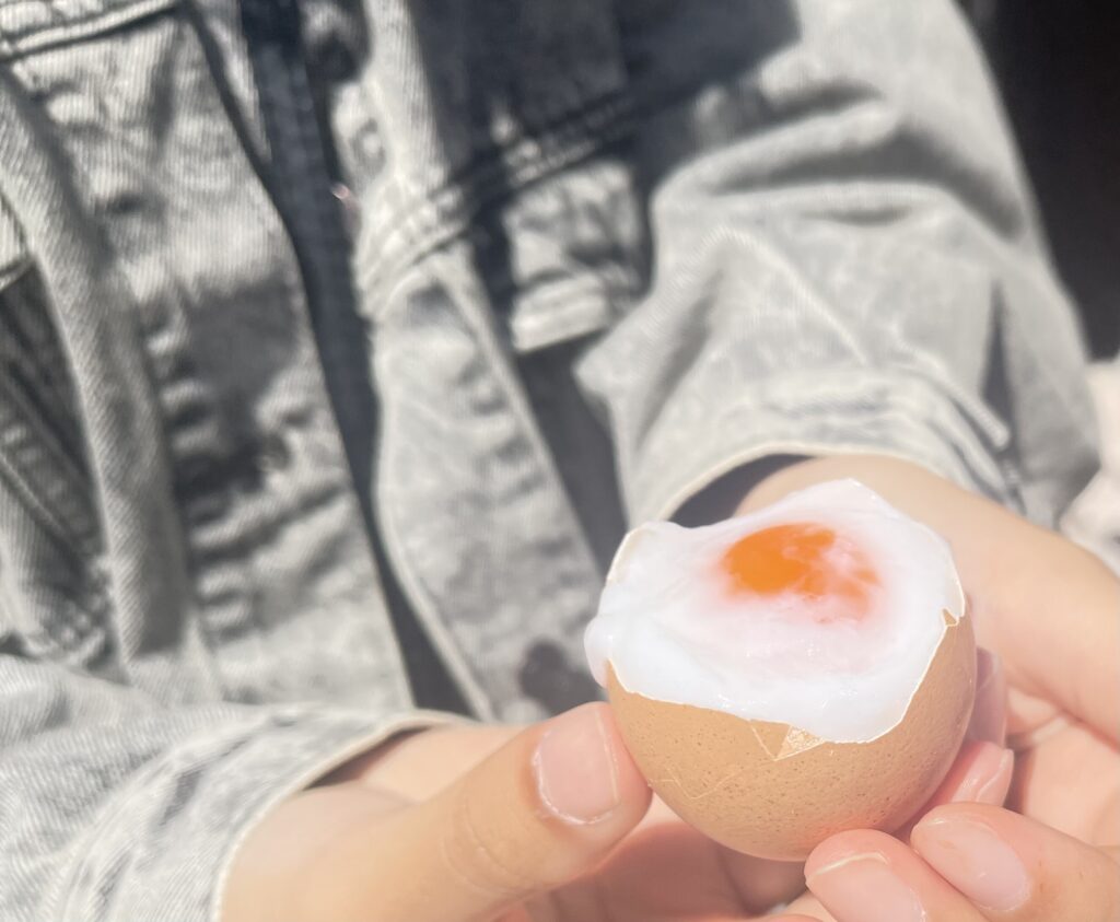 Taste the silky creamy Hot springs Egg at Tsuruya Shoten