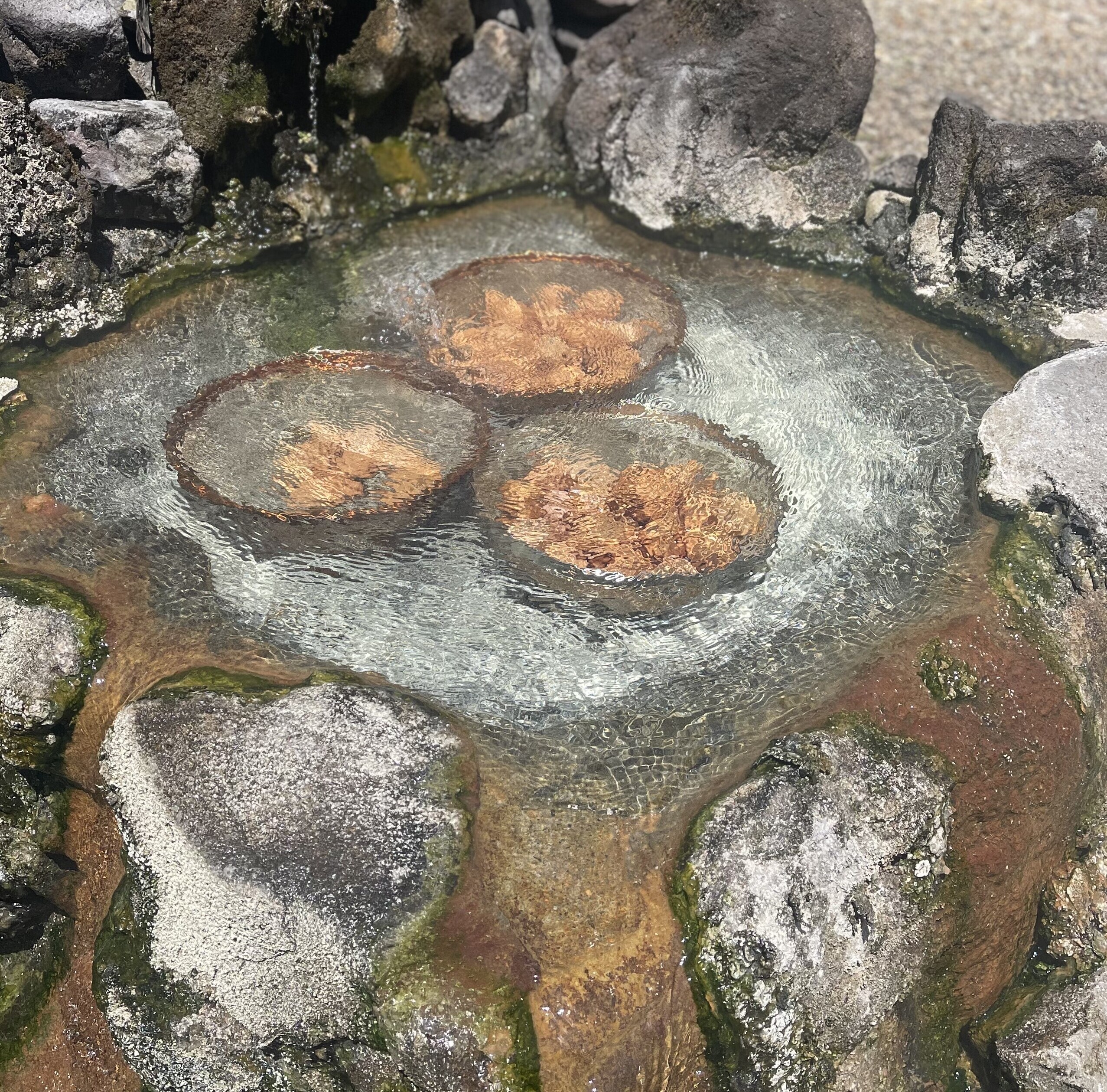 Onsen Tamago, Hot Spring Egg, boiling at Hirayu Onsen ,Takayama, Gifu, Japan