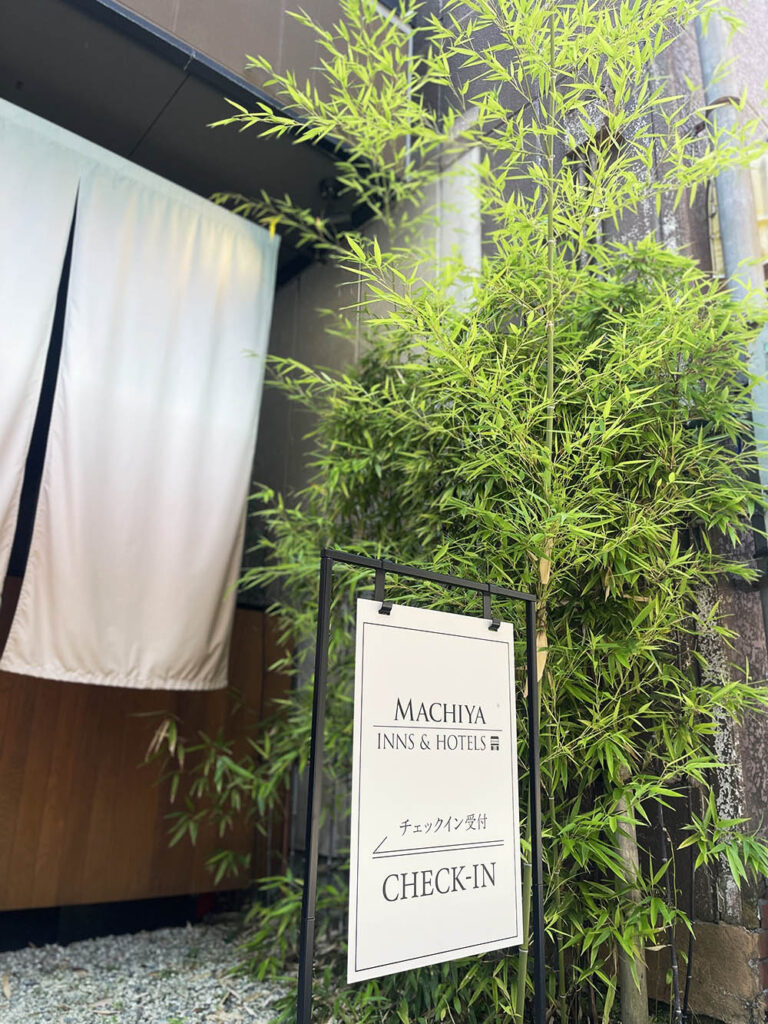 A bamboo plant greeting guests at eph Takayama
