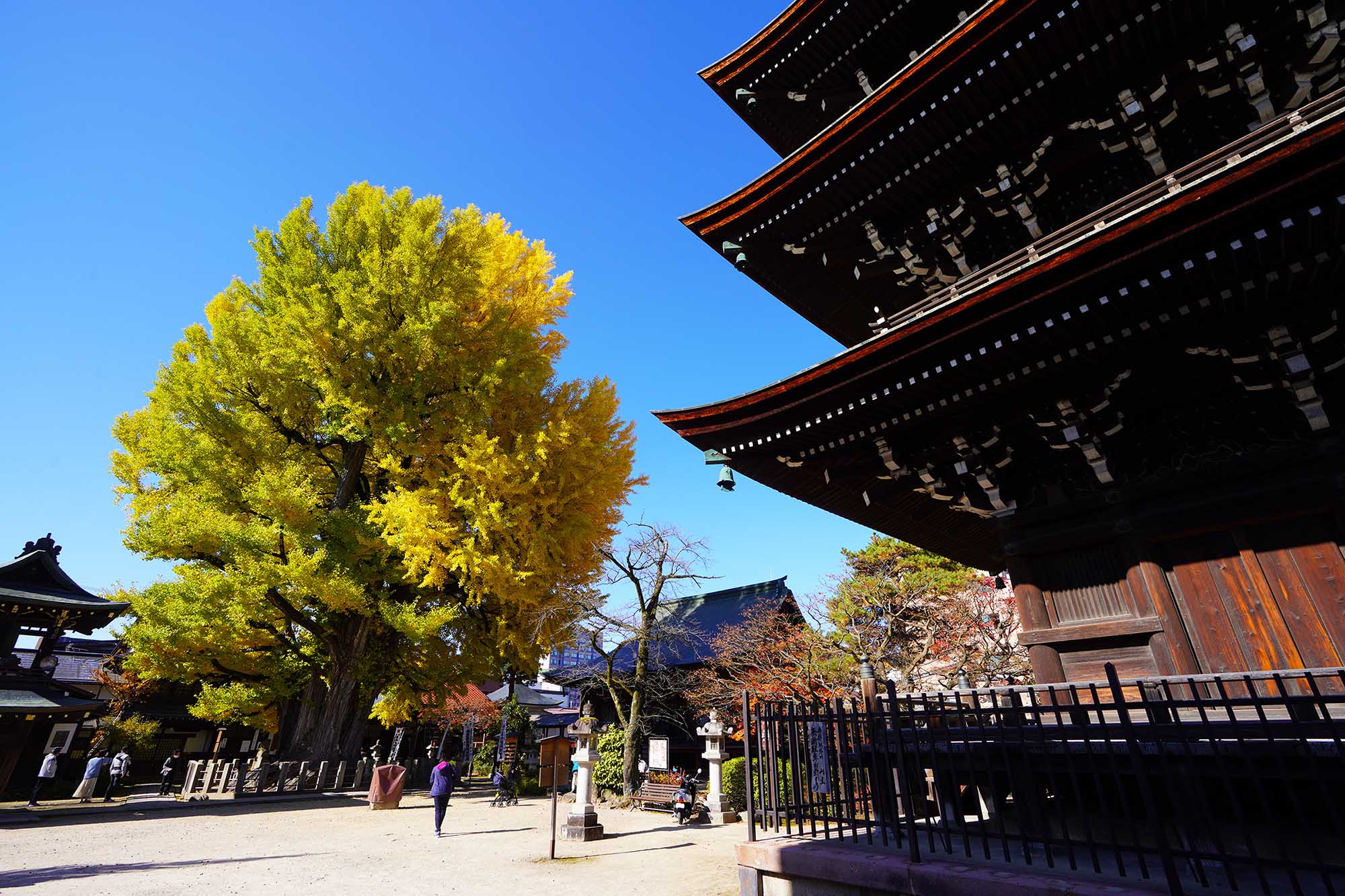 Hida Kokubunji Temple (飛騨国分寺), Hida Takayama, Gifu.