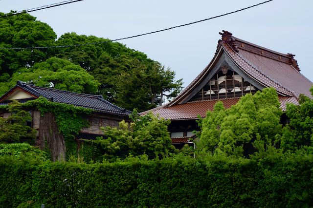 Myouryu-ji Temple (Ninja Temple)