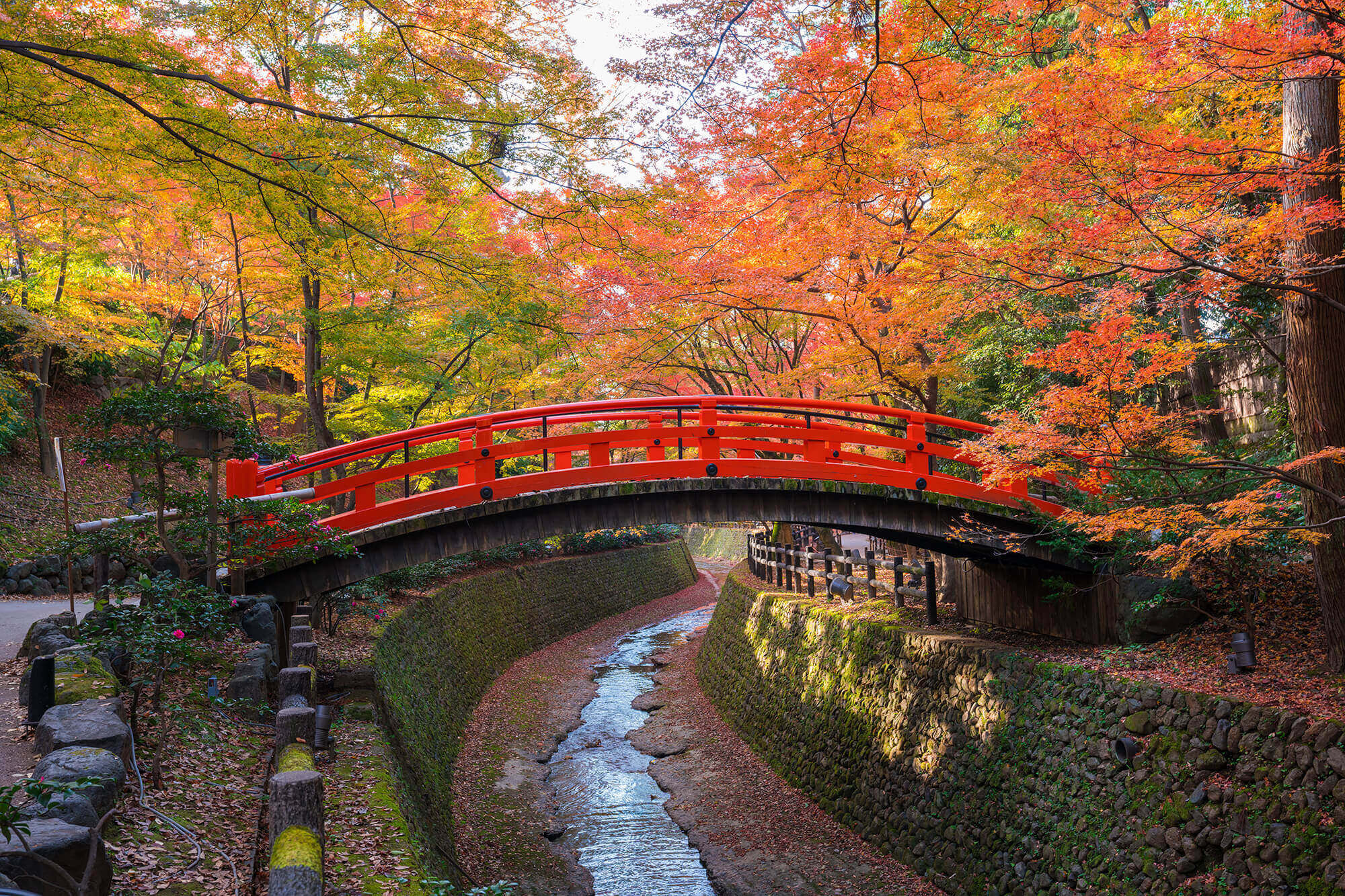 Kyoto