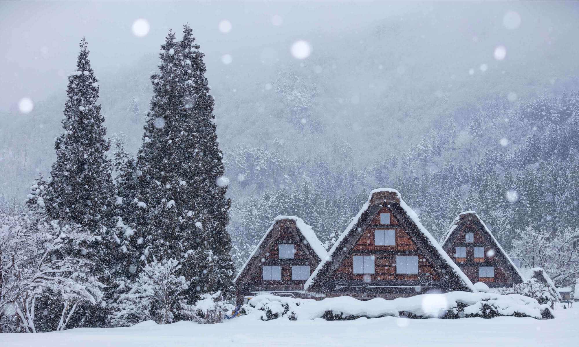 Experience Winter in Japan from Your Own Private Machiya