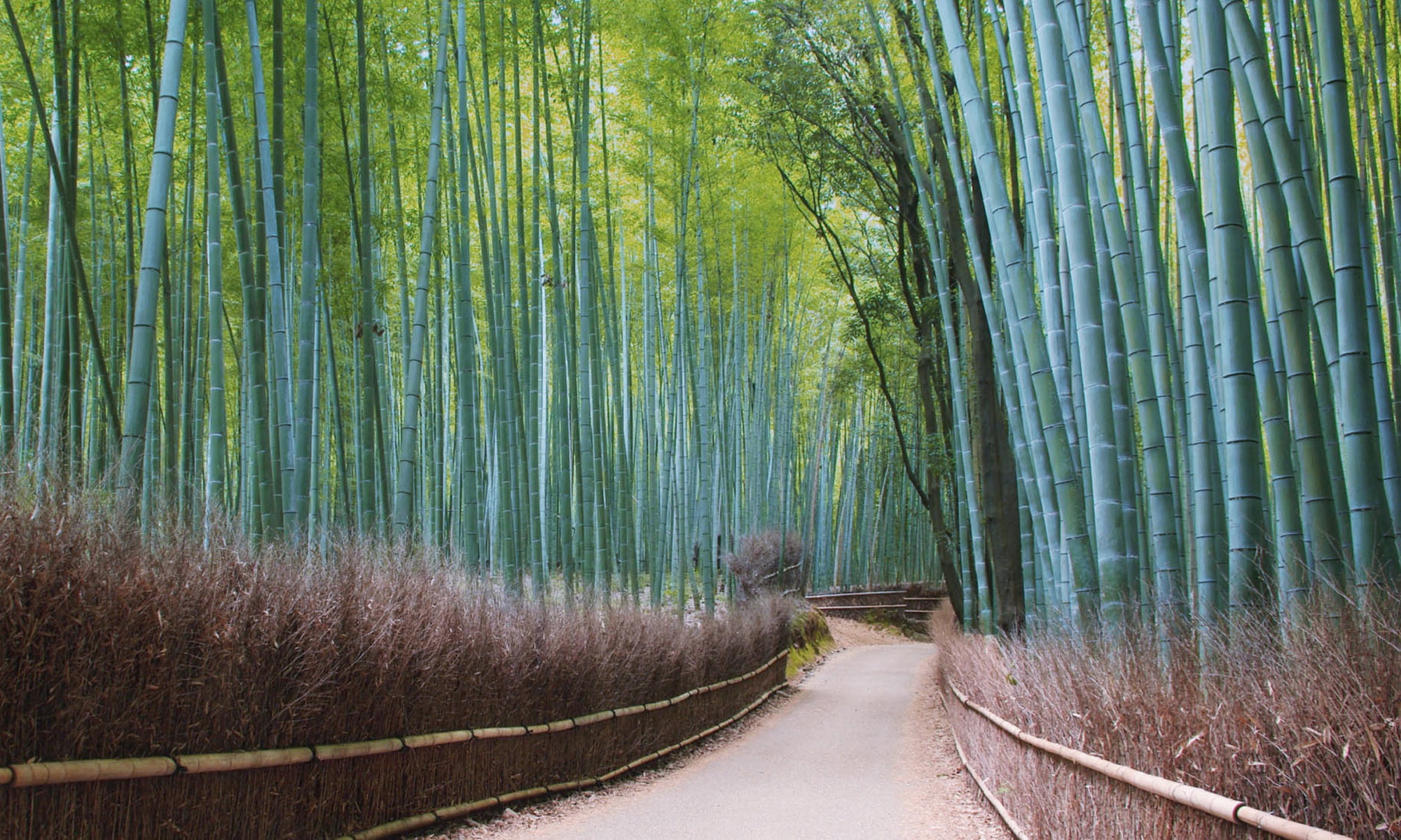 Experience Winter in Japan from Your Own Private Machiya