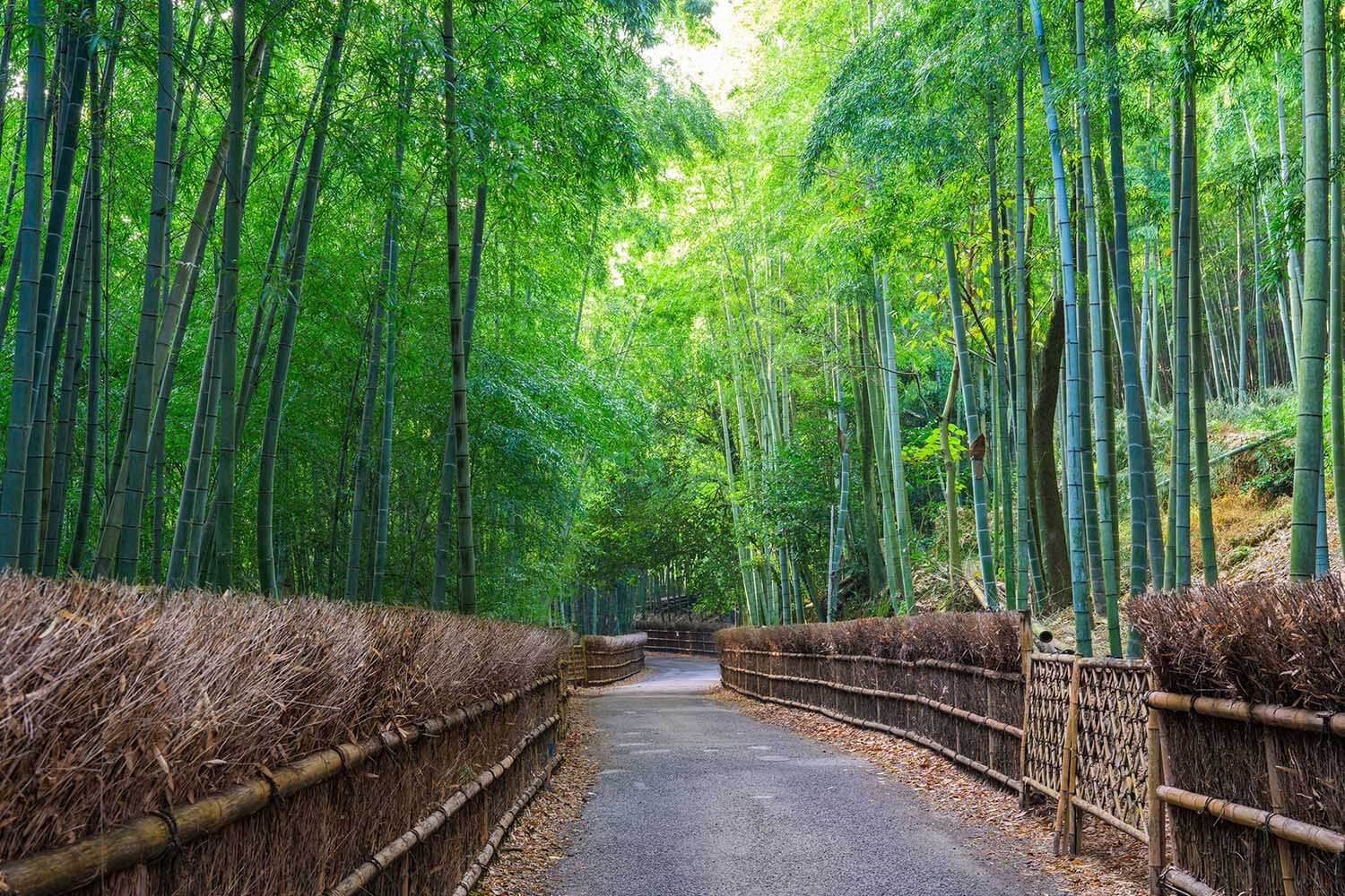 MACHIYA INNS & HOTELS